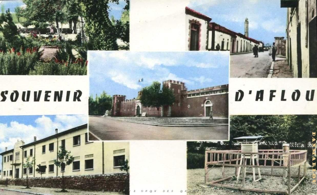 Aflou 712.jpg